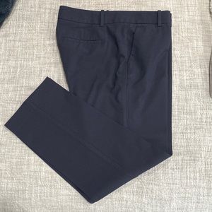 Size 12 Petite Navy Ann Taylor Slacks